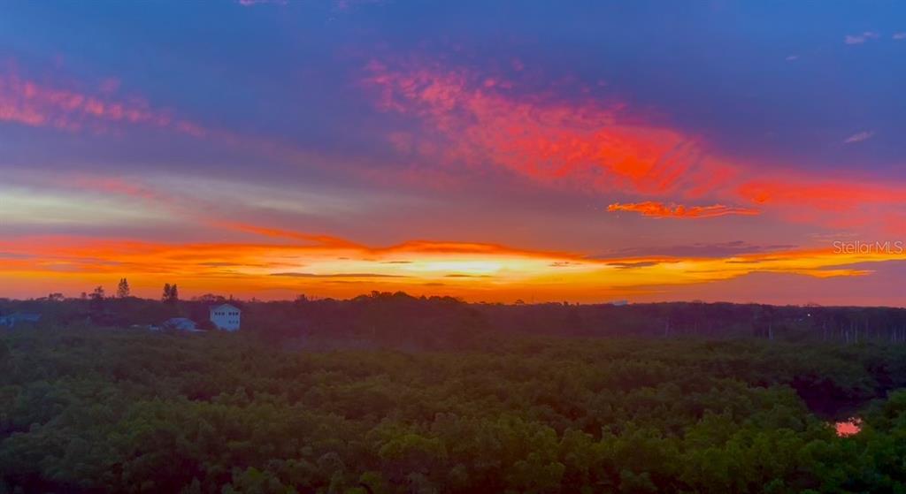 Gorgeous Sunrise from Unit
