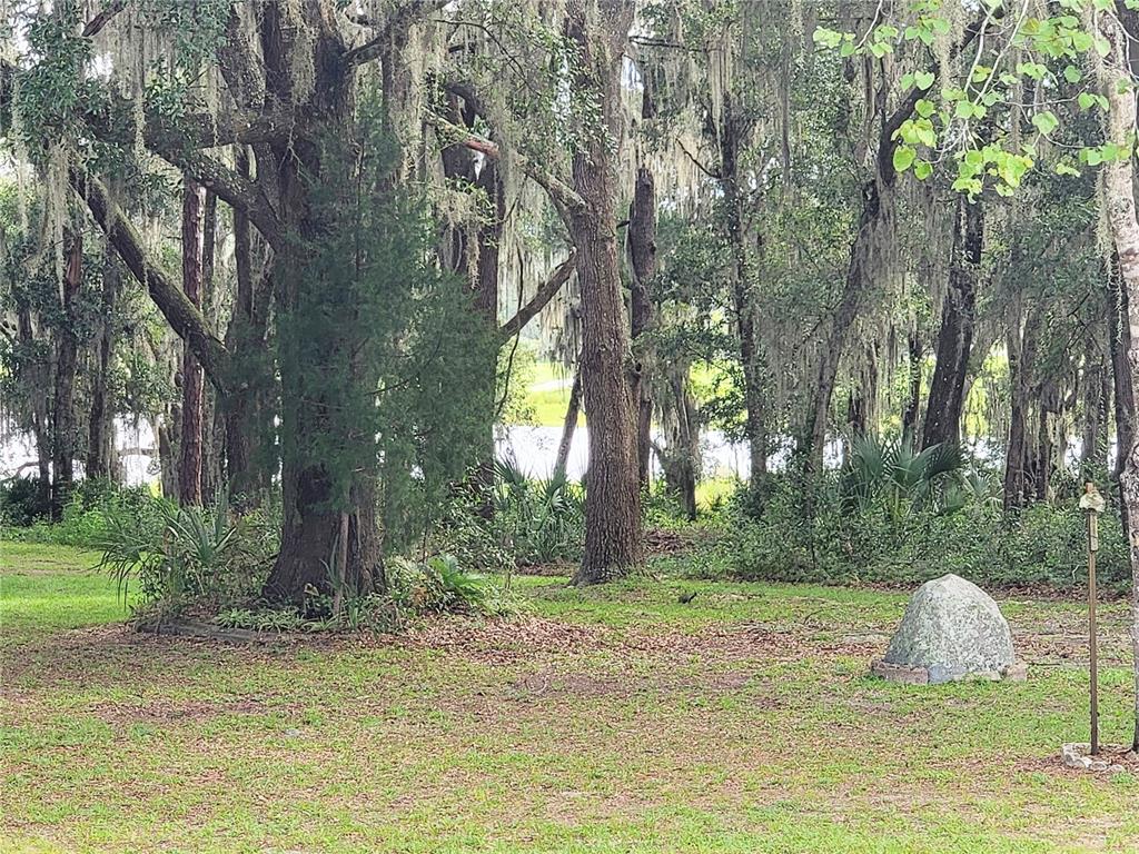 View of Tiger Lake
