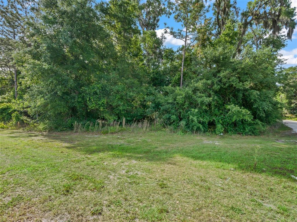 Property for sale at 2823 W C 48, BUSHNELL, FL, 33513