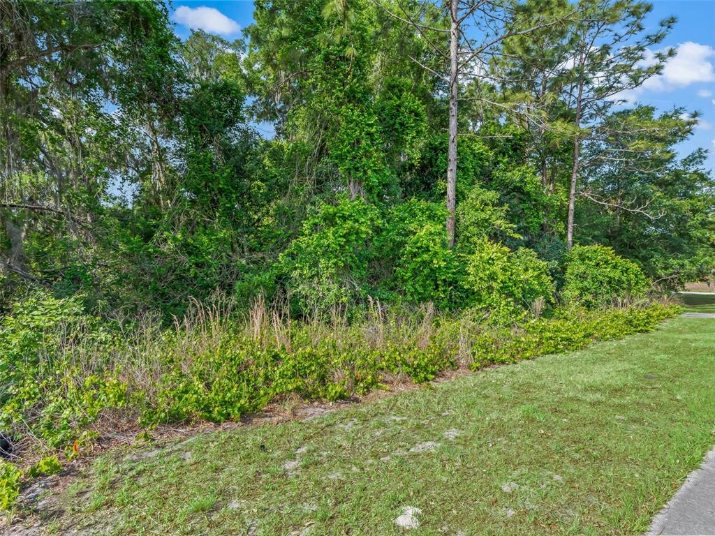 Property for sale at 2823 W C 48, BUSHNELL, FL, 33513