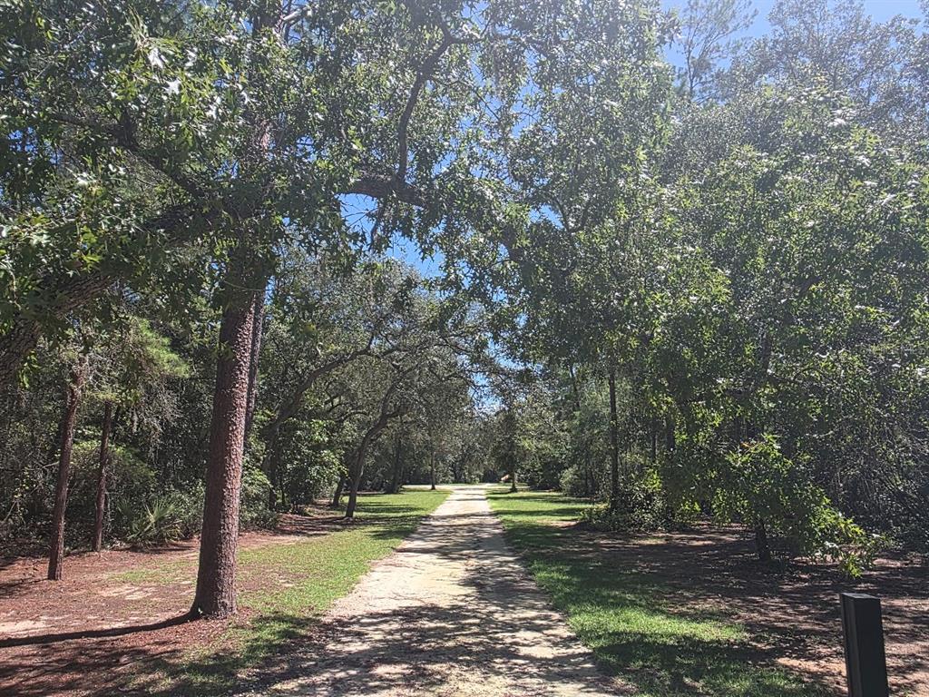 Property for sale at 3435 N HIGHWAY 314A, SILVER SPRINGS, FL, 34488