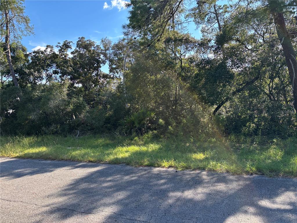 Property for sale at 0 SW 171ST STREET, OCALA, FL, 34473