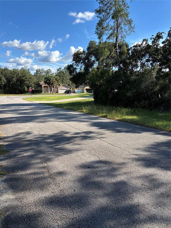 Property for sale at 0 SW 171ST STREET, OCALA, FL, 34473