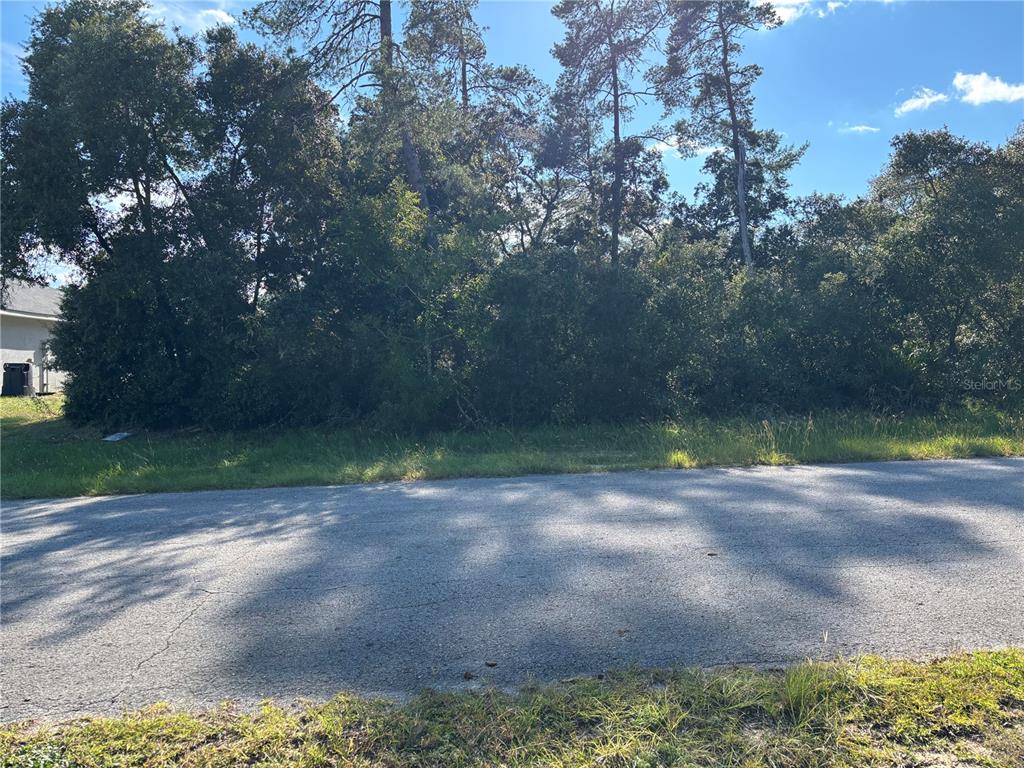 Property for sale at 0 SW 171ST STREET, OCALA, FL, 34473