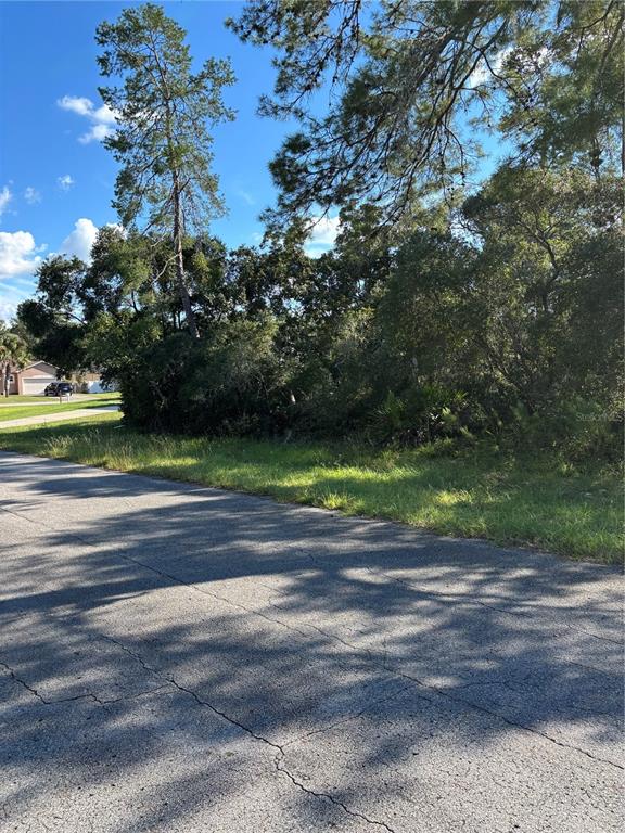 Property for sale at 0 SW 171ST STREET, OCALA, FL, 34473