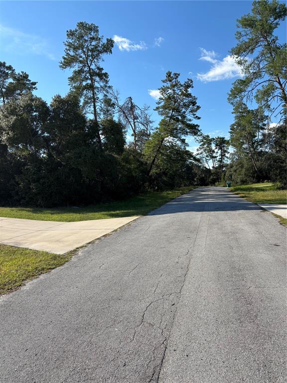 Property for sale at 0 SW 171ST STREET, OCALA, FL, 34473