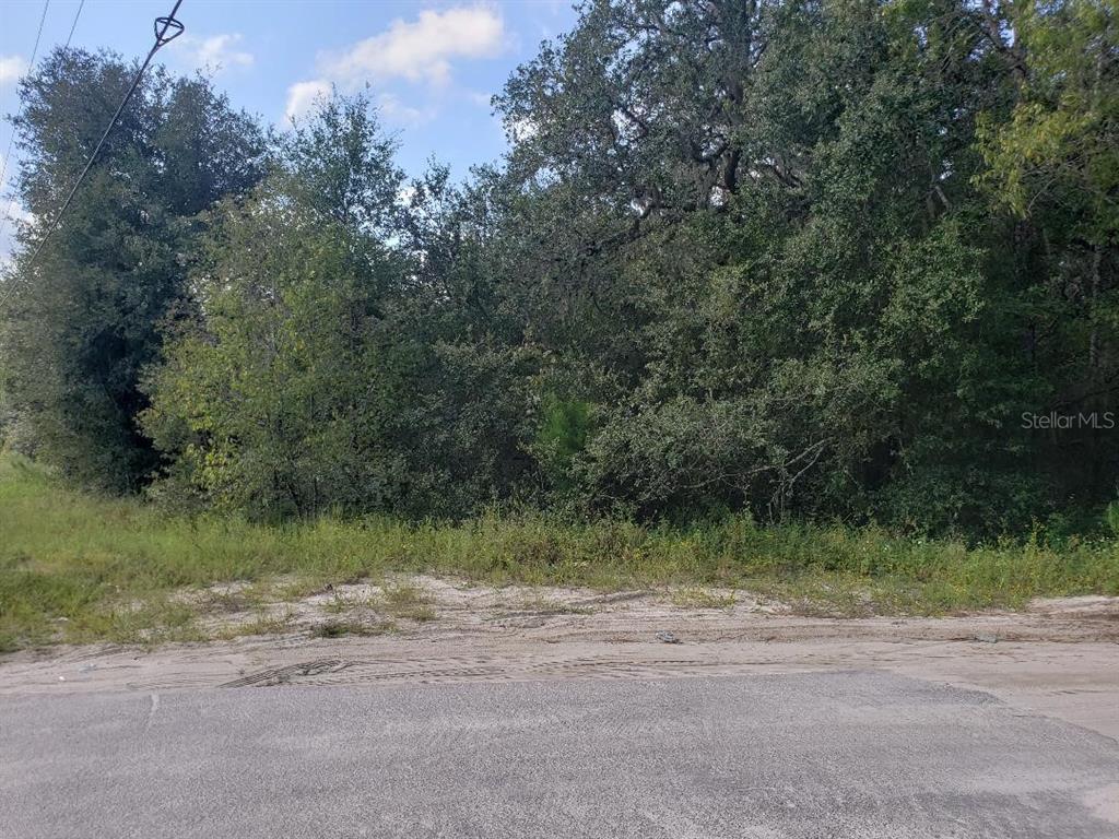 Property for sale at 345 S COUNTY ROAD 315, INTERLACHEN, FL, 32148