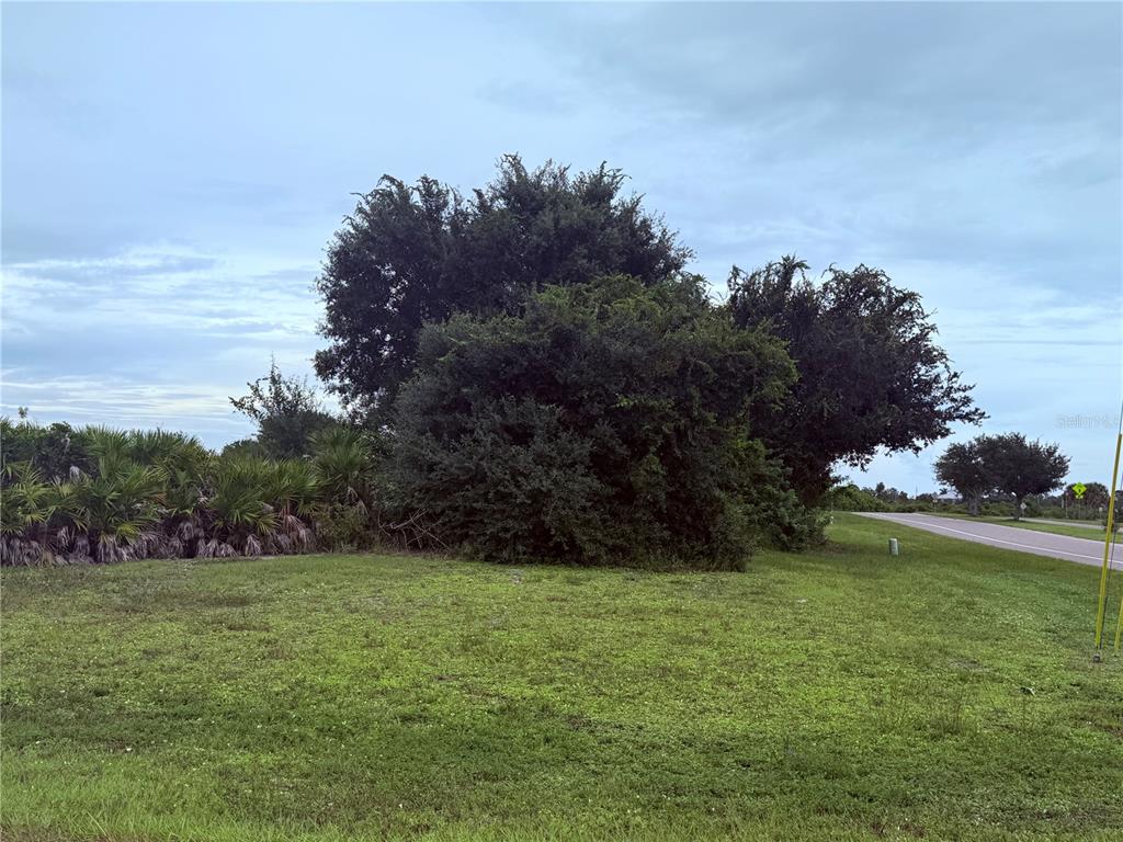 Property for sale at 101 WRIGHT DRIVE, ROTONDA WEST, FL, 33947