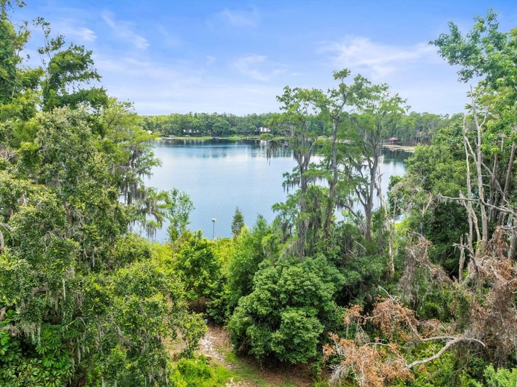 Property for sale at 16035 CHASTAIN ROAD, ODESSA, FL, 33556