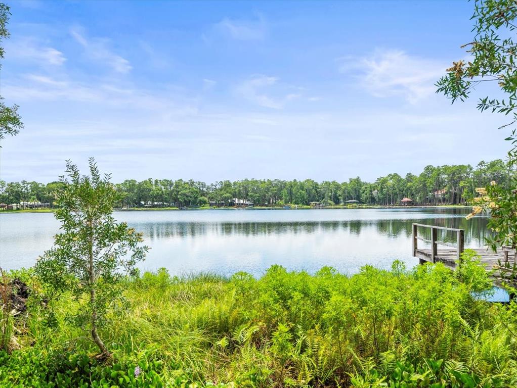 Property for sale at 16035 CHASTAIN ROAD, ODESSA, FL, 33556