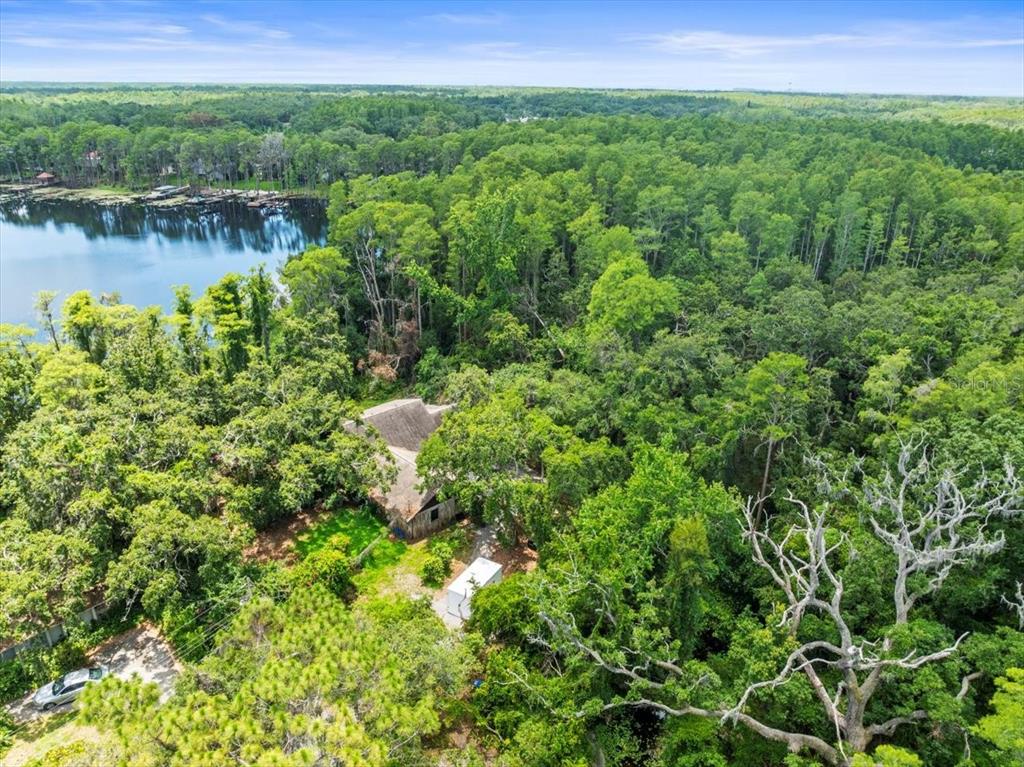 Property for sale at 16035 CHASTAIN ROAD, ODESSA, FL, 33556