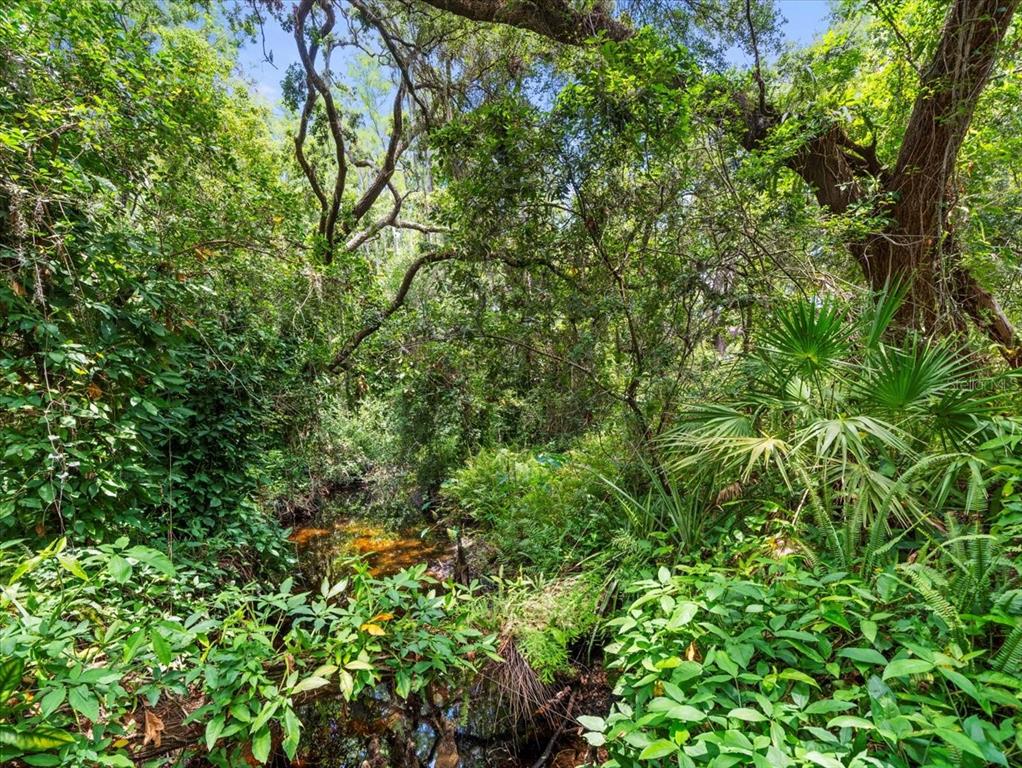 Property for sale at 16035 CHASTAIN ROAD, ODESSA, FL, 33556