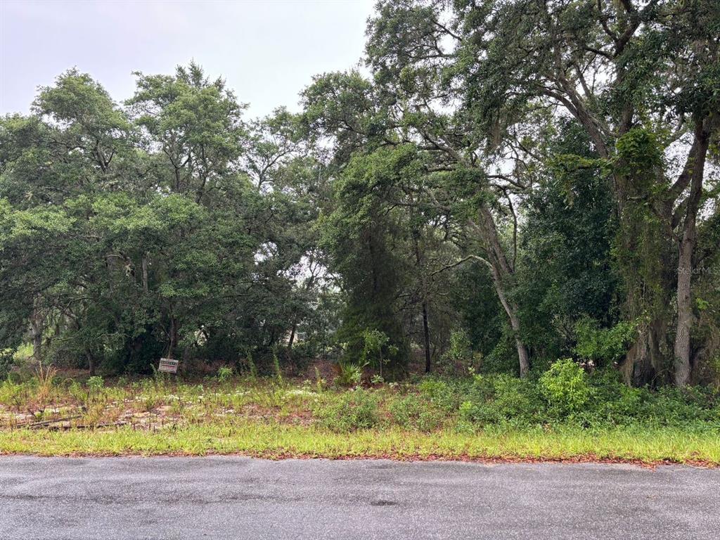Property for sale at 7 FISHER WAY DRIVE, OCKLAWAHA, FL, 32179