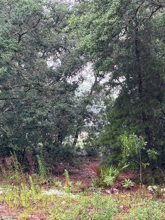 Property for sale at 7 FISHER WAY DRIVE, OCKLAWAHA, FL, 32179