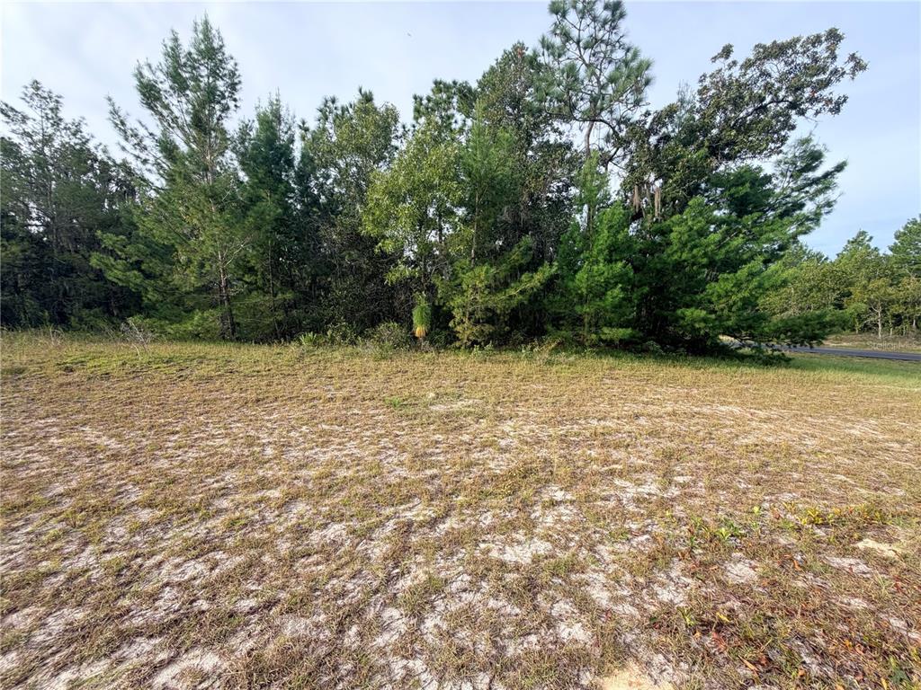 Property for sale at 0 SW 139TH PLACE ROAD, OCALA, FL, 34473
