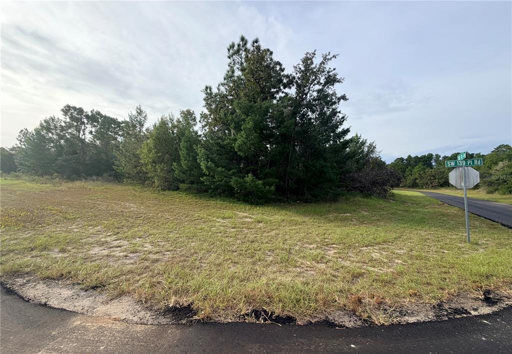 Property for sale at 0 SW 139TH PLACE ROAD, OCALA, FL, 34473