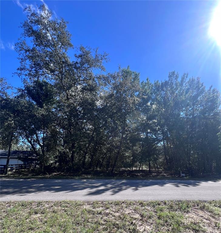 Property for sale at FISHER WAY TRAIL, OCKLAWAHA, FL, 32179