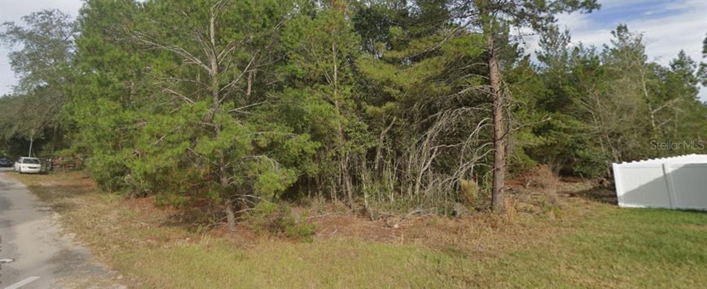 Property for sale at FISHER WAY TRAIL, OCKLAWAHA, FL, 32179