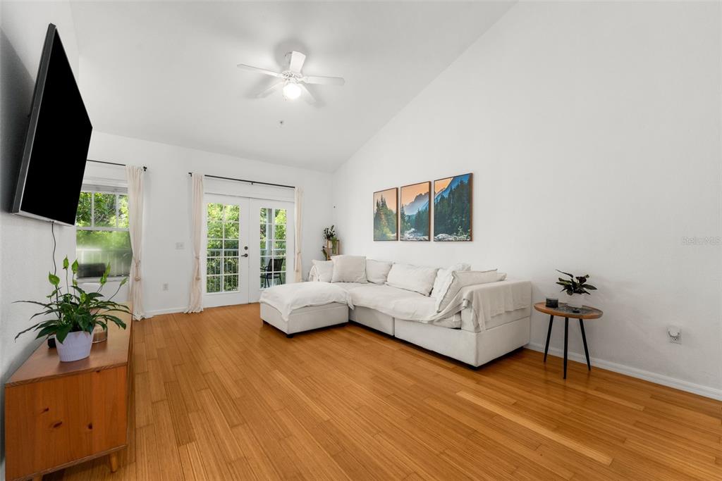 Vaulted Ceiling LR