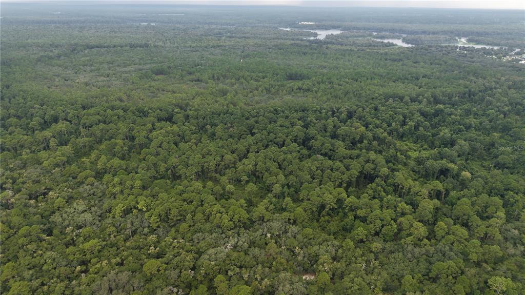 Property for sale at 162 CARRIAGE PLACE, SATSUMA, FL, 32189