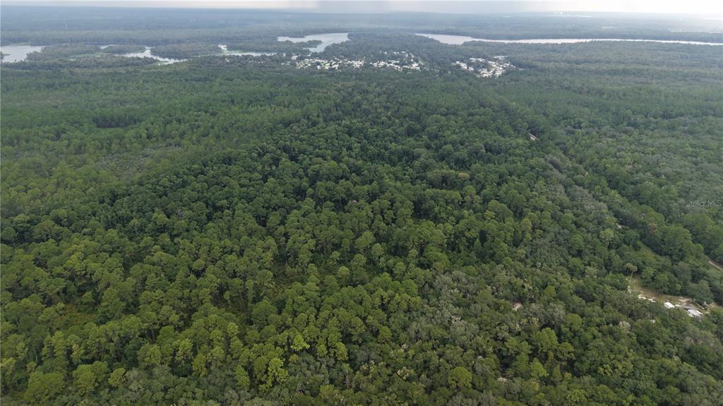Property for sale at 162 CARRIAGE PLACE, SATSUMA, FL, 32189