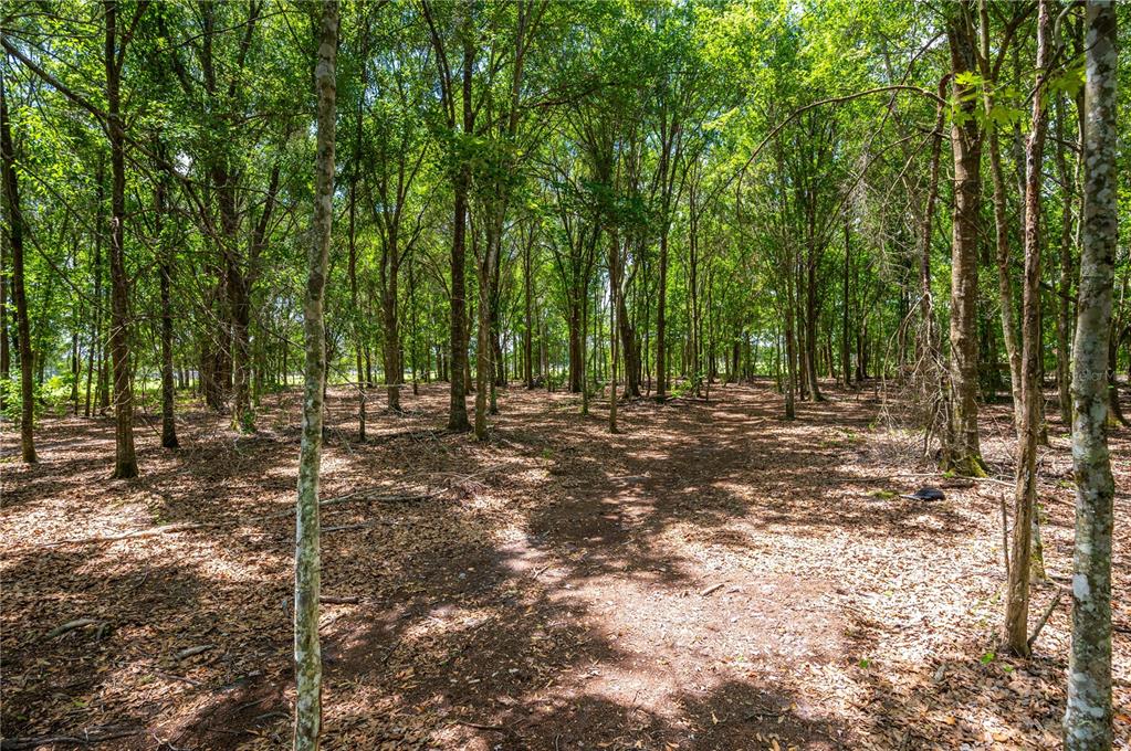 Property for sale at 15079 BRAHMA ROAD, POLK CITY, FL, 33868