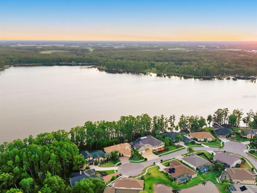 Property for sale at 21019 MARSH HAWK DRIVE, LAND O LAKES, FL, 34638