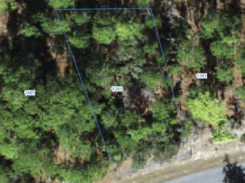 Property for sale at 1393 W RILEY DRIVE, CITRUS SPRINGS, FL, 34434