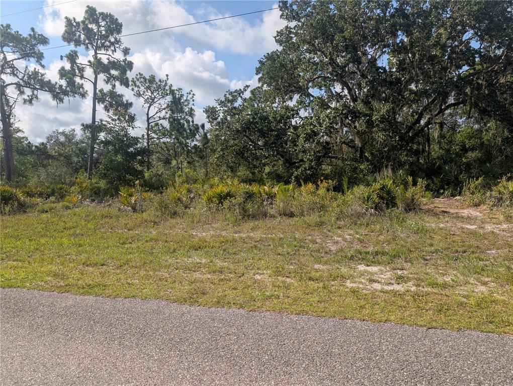 Property for sale at 809 POINCIANA DRIVE, INDIAN LAKE ESTATES, FL, 33855