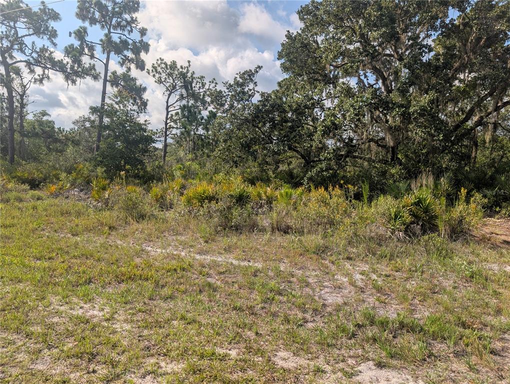 Property for sale at 809 POINCIANA DRIVE, INDIAN LAKE ESTATES, FL, 33855