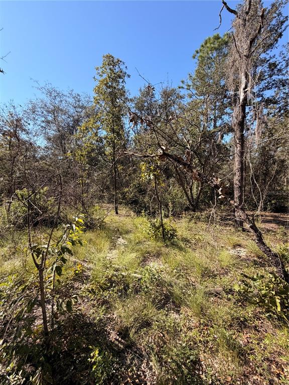 Property for sale at 0 CYPRESS STREET, INTERLACHEN, FL, 32148