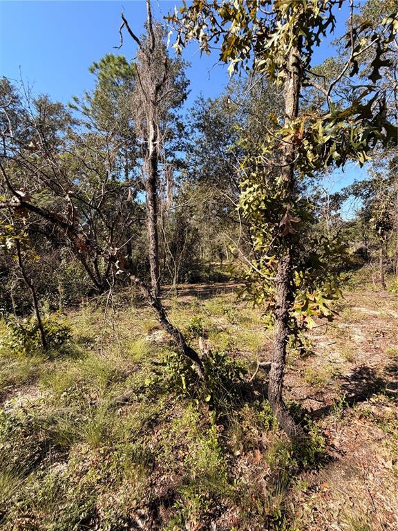 Property for sale at 0 CYPRESS STREET, INTERLACHEN, FL, 32148