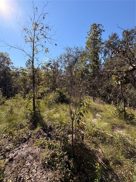 Property for sale at 0 CYPRESS STREET, INTERLACHEN, FL, 32148