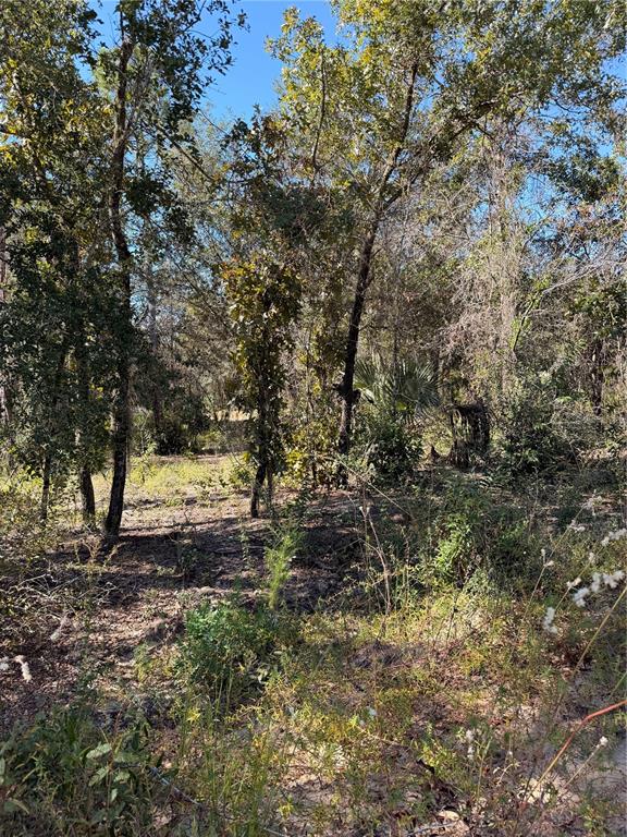 Property for sale at 0 CYPRESS STREET, INTERLACHEN, FL, 32148