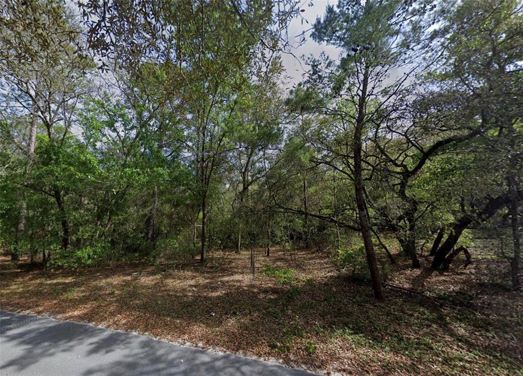Property for sale at 139 SILVER BEACH BOULEVARD, POMONA PARK, FL, 32181