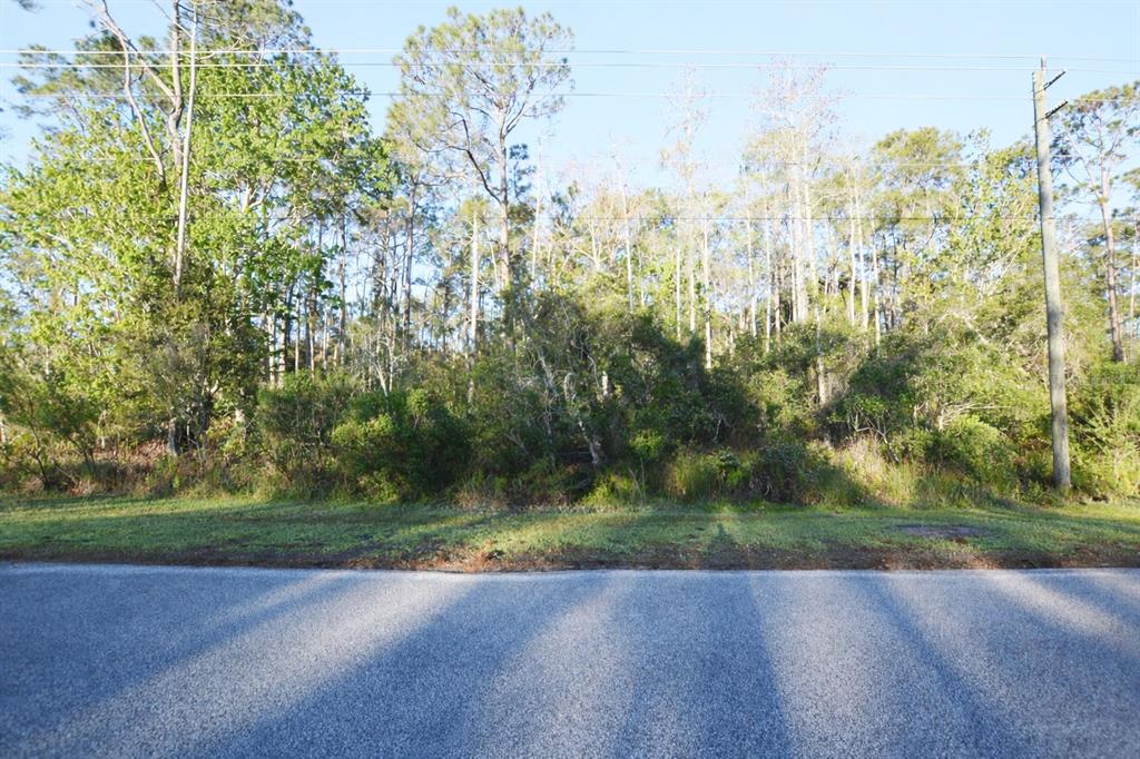 Property for sale at XXXX PINE LAKES PARKWAY, PALM COAST, FL, 32164