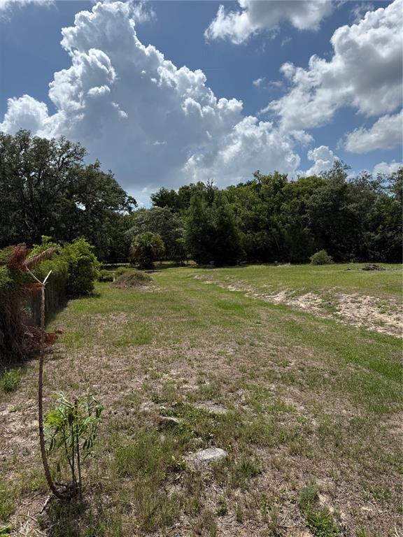 Property for sale at 1401 N CANDLER AVENUE, ORLANDO, FL, 32818