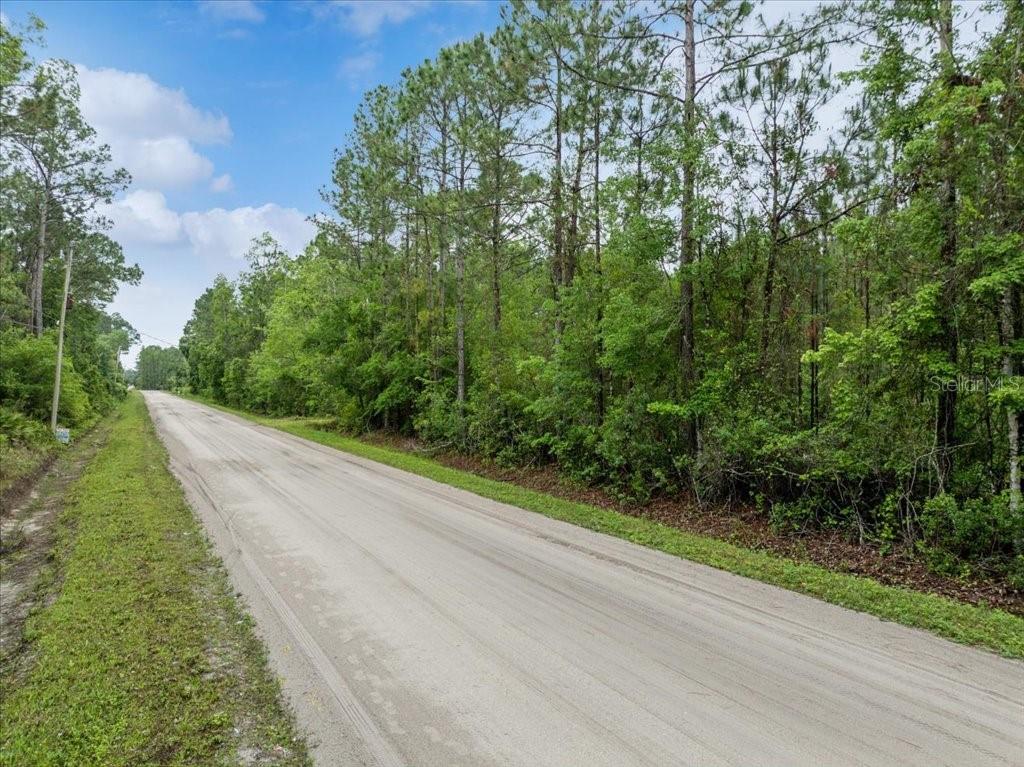 Property for sale at 1756 HAZELNUT STREET, BUNNELL, FL, 32110