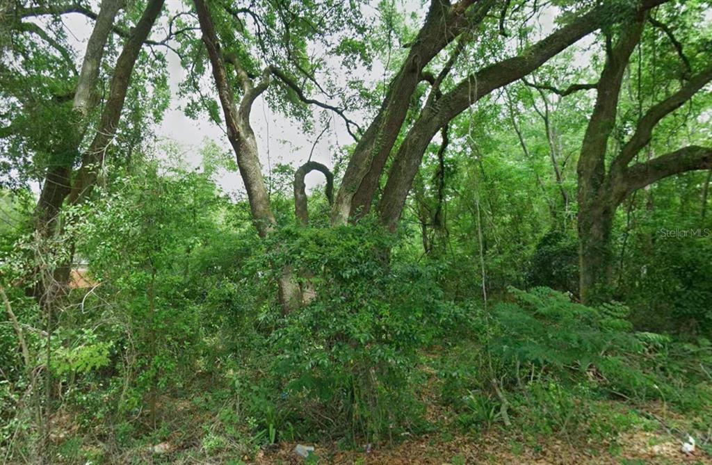 Property for sale at Lot 64 NE 162 STREET, CITRA, FL, 32113