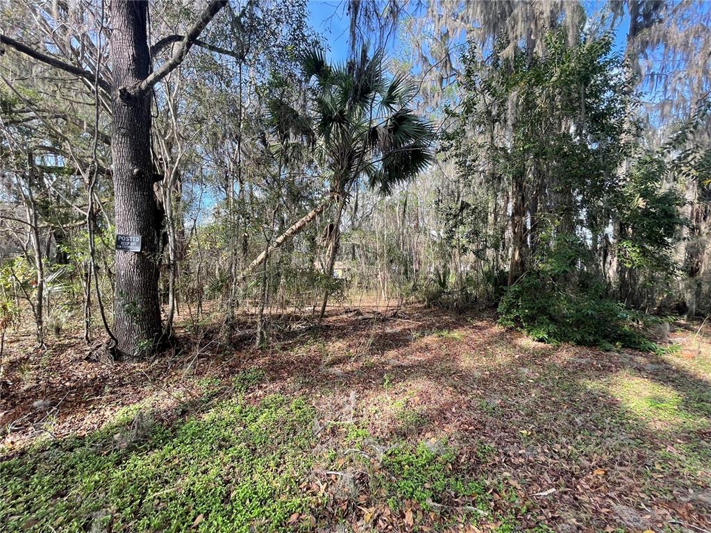 Property for sale at TBD SE 40TH LOOP, LOT 1, OCALA, FL, 34480