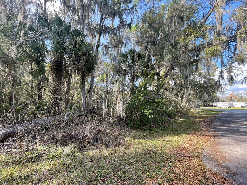 Property for sale at TBD SE 40TH LOOP, LOT 1, OCALA, FL, 34480