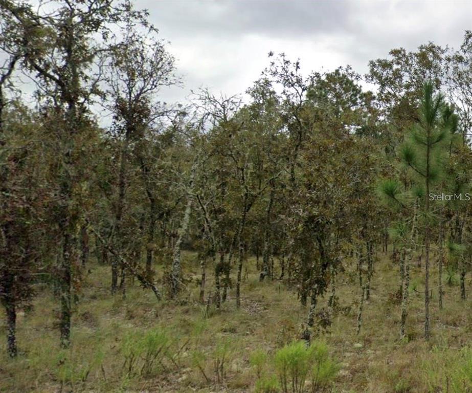 Property for sale at NE 11TH STREET, WILLISTON, FL, 32696
