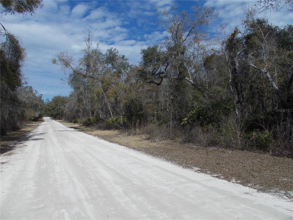 Property for sale at 0000 NE 836TH STREET, OLD TOWN, FL, 32680