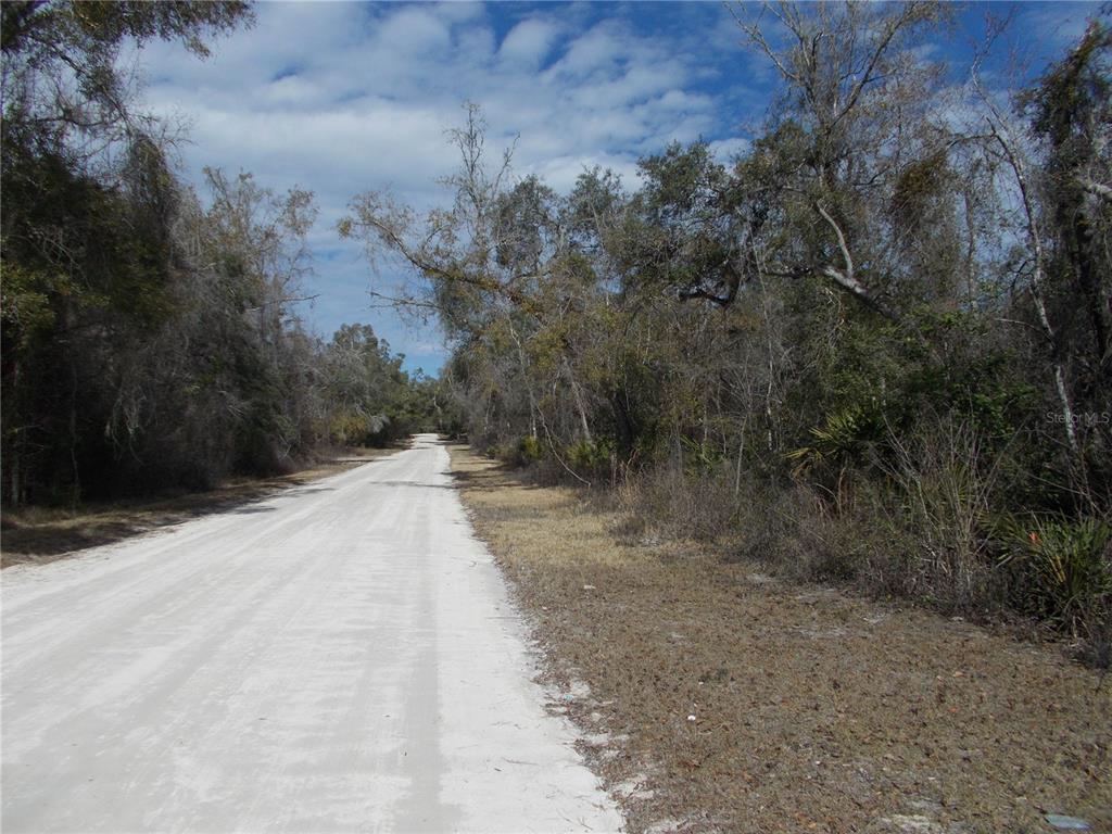 Property for sale at 0000 NE 836TH STREET, OLD TOWN, FL, 32680