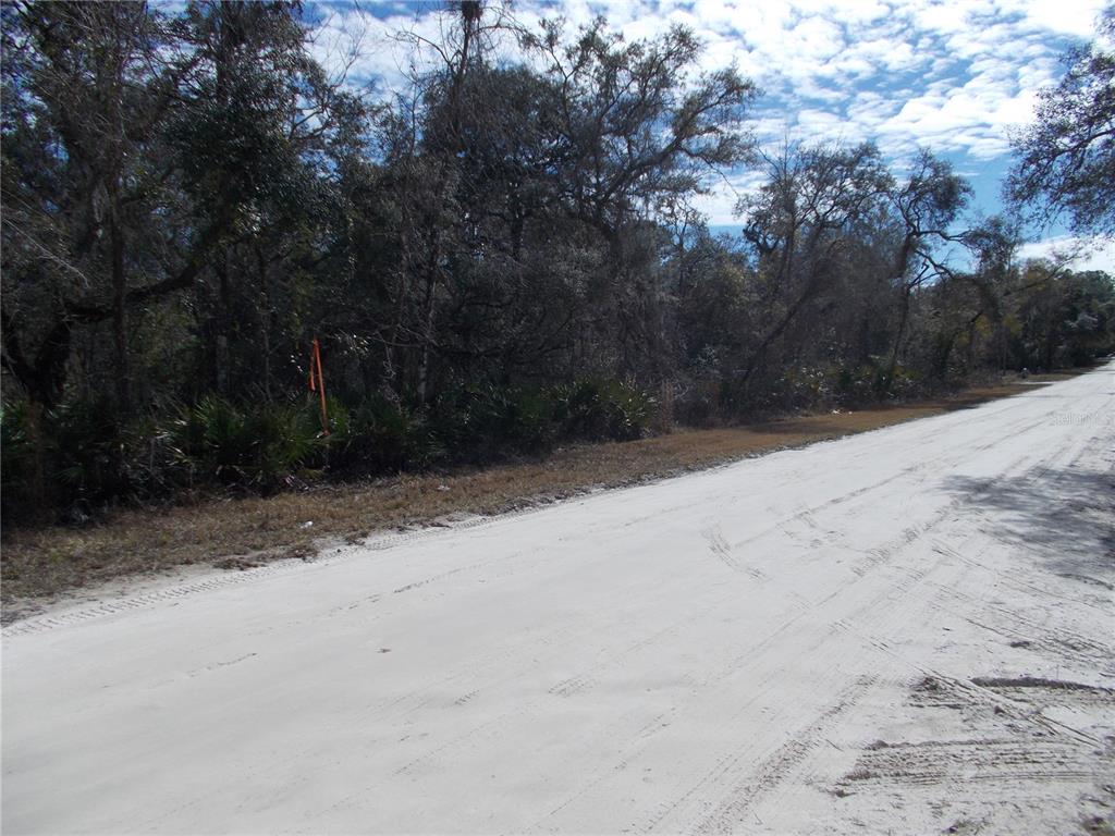 Property for sale at 0000 NE 836TH STREET, OLD TOWN, FL, 32680