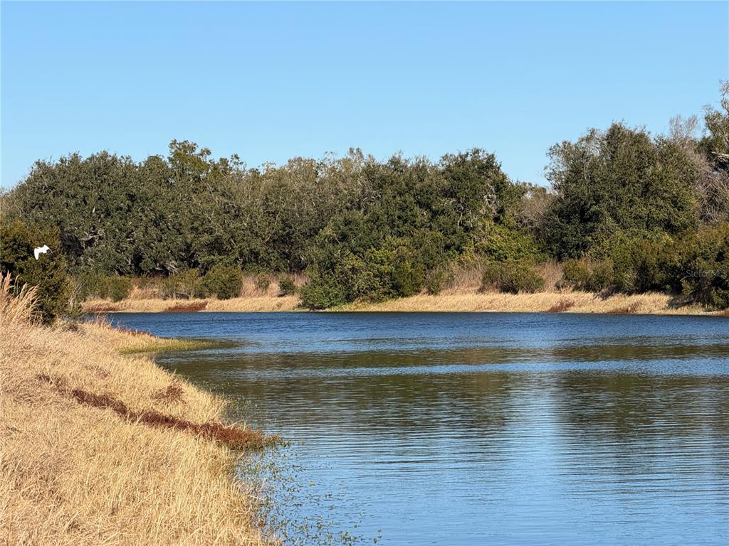 Property for sale at 100AC NE HWY 17, ARCADIA, FL, 34266