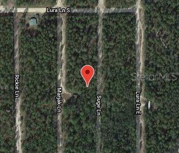 Property for sale at 313 SUGE LANE, FLORAHOME, FL, 32140