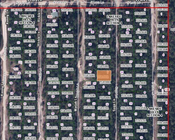 Property for sale at 313 SUGE LANE, FLORAHOME, FL, 32140