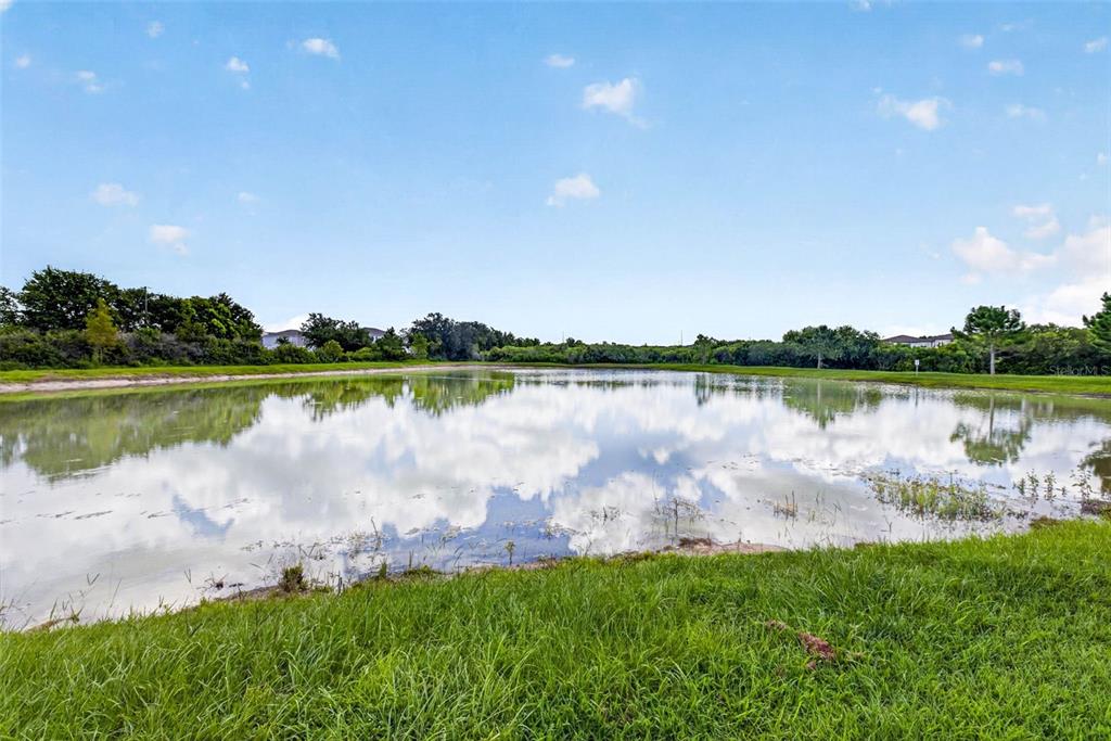Pond views look like a dream!