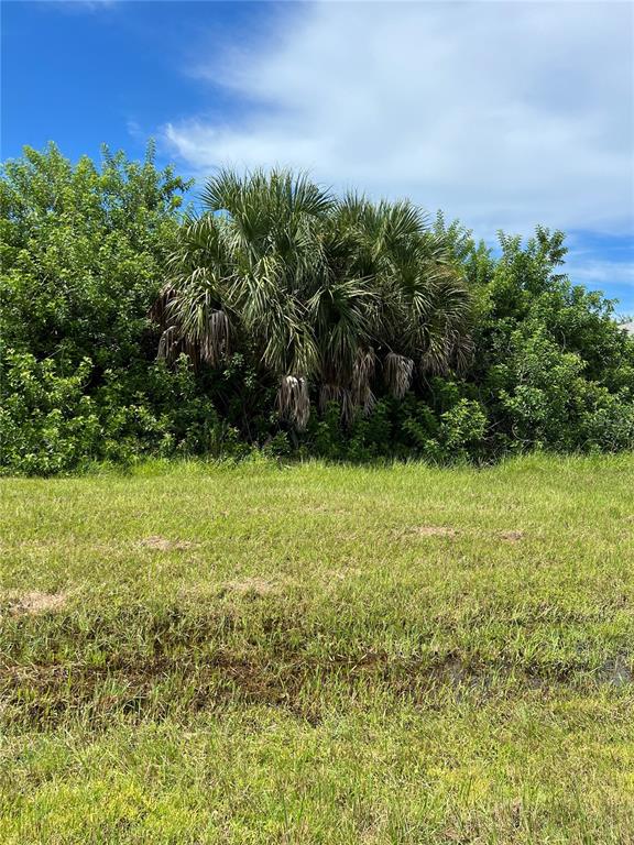Property for sale at 158 COUGAR WAY, ROTONDA WEST, FL, 33947